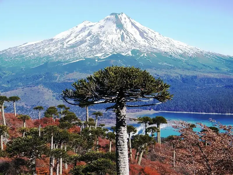 Paisaje de Temuco